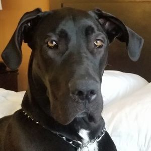 Meet your Posher, Cindy